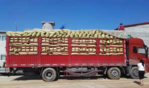 專(zhuān)業(yè)物流運(yùn)輸，保障發(fā)貨快速順暢